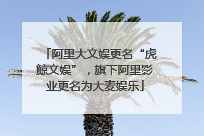 阿里大文娱更名“虎鲸文娱”，旗下阿里影业更名为大麦娱乐