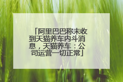 阿里巴巴称未收到天猫养车内斗消息，天猫养车：公司运营一切正常