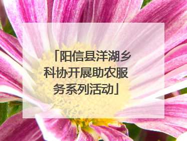阳信县洋湖乡科协开展助农服务系列活动
