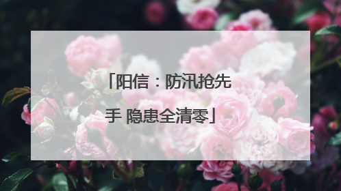 阳信：防汛抢先手 隐患全清零