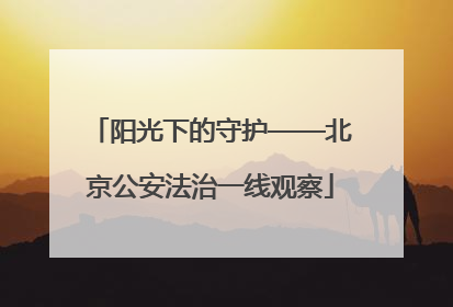 阳光下的守护——北京公安法治一线观察