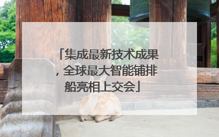 集成最新技术成果，全球最大智能铺排船亮相上交会