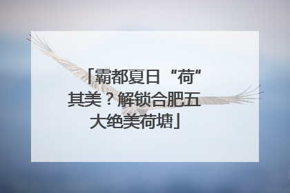 霸都夏日“荷”其美？解锁合肥五大绝美荷塘