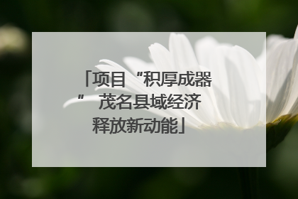 项目“积厚成器” 茂名县域经济释放新动能
