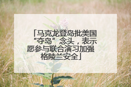 马克龙登岛批美国“夺岛”念头，表示愿参与联合演习加强格陵兰安全