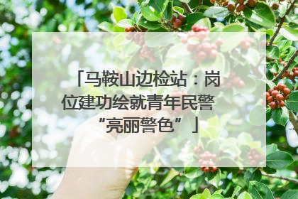 马鞍山边检站：岗位建功绘就青年民警“亮丽警色”