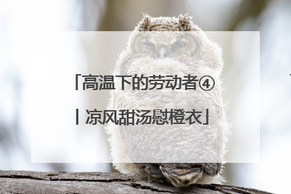 高温下的劳动者④丨凉风甜汤慰橙衣