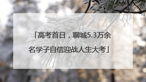 高考首日，聊城5.3万余名学子自信迎战人生大考