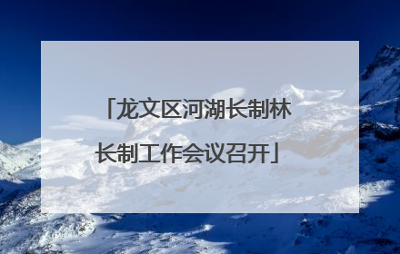龙文区河湖长制林长制工作会议召开