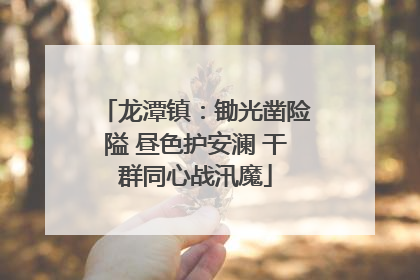 龙潭镇：锄光凿险隘 昼色护安澜 干群同心战汛魔