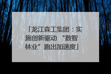 龙江森工集团：实施创新驱动 “数智林业”跑出加速度