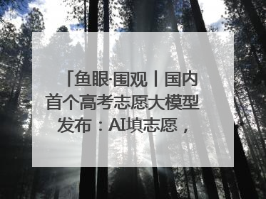 鱼眼·围观丨国内首个高考志愿大模型发布：AI填志愿，靠不靠谱？
