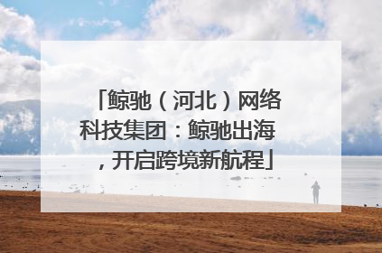 鲸驰（河北）网络科技集团：鲸驰出海，开启跨境新航程