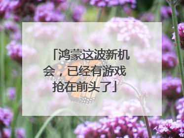 鸿蒙这波新机会，已经有游戏抢在前头了