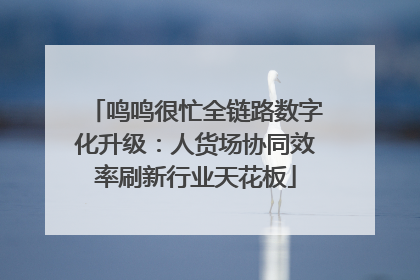 鸣鸣很忙全链路数字化升级：人货场协同效率刷新行业天花板