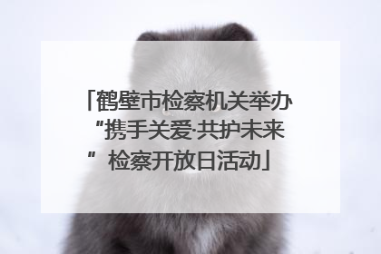 鹤壁市检察机关举办“携手关爱·共护未来”检察开放日活动