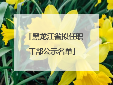 黑龙江省拟任职干部公示名单