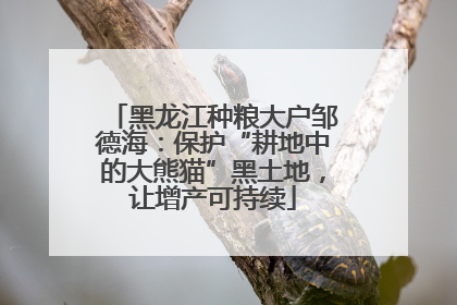 黑龙江种粮大户邹德海：保护“耕地中的大熊猫”黑土地，让增产可持续