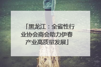 黑龙江：全省性行业协会商会助力伊春产业高质量发展