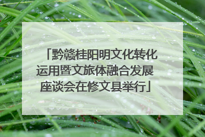 黔赣桂阳明文化转化运用暨文旅体融合发展座谈会在修文县举行