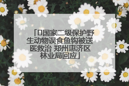 ﻿国家二级保护野生动物误食鱼钩被送医救治 郑州惠济区林业局回应