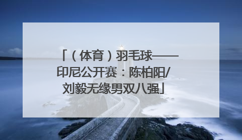 （体育）羽毛球——印尼公开赛：陈柏阳/刘毅无缘男双八强