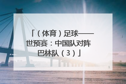 （体育）足球——世预赛：中国队对阵巴林队（3）