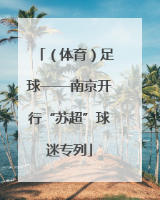 （体育）足球——南京开行“苏超”球迷专列