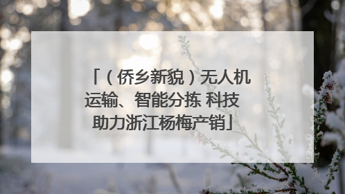 （侨乡新貌）无人机运输、智能分拣 科技助力浙江杨梅产销