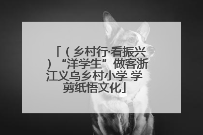 （乡村行·看振兴）“洋学生”做客浙江义乌乡村小学 学剪纸悟文化