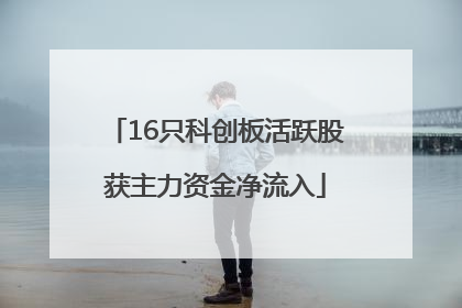 16只科创板活跃股获主力资金净流入
