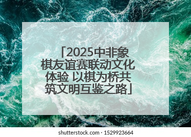 2025中非象棋友谊赛联动文化体验 以棋为桥共筑文明互鉴之路