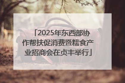 2025年东西部协作帮扶促消费暨糯食产业招商会在贞丰举行