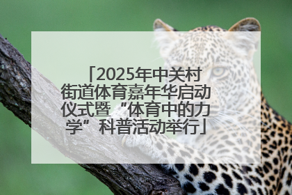 2025年中关村街道体育嘉年华启动仪式暨“体育中的力学”科普活动举行