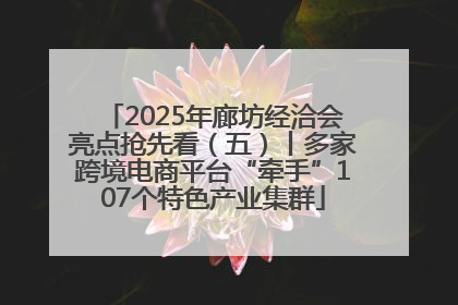 2025年廊坊经洽会亮点抢先看（五）丨多家跨境电商平台“牵手”107个特色产业集群