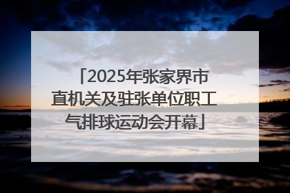 2025年张家界市直机关及驻张单位职工气排球运动会开幕