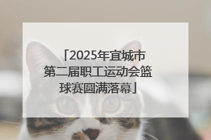 2025年宜城市第二届职工运动会篮球赛圆满落幕