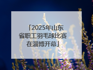 2025年山东省职工羽毛球比赛在淄博开幕