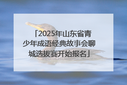 2025年山东省青少年成语经典故事会聊城选拔赛开始报名