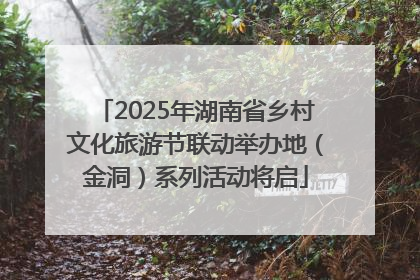 2025年湖南省乡村文化旅游节联动举办地（金洞）系列活动将启