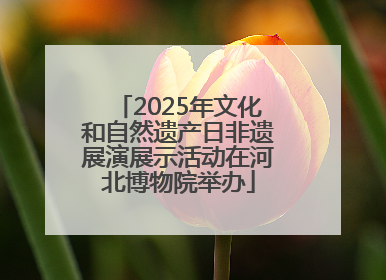 2025年文化和自然遗产日非遗展演展示活动在河北博物院举办