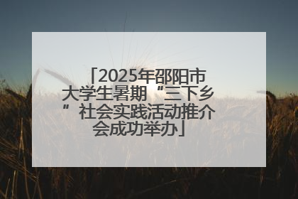 2025年邵阳市大学生暑期“三下乡”社会实践活动推介会成功举办