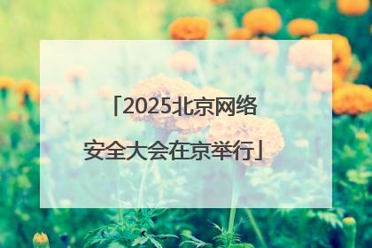 2025北京网络安全大会在京举行