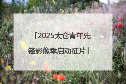 2025太仓青年先锋影像季启动征片