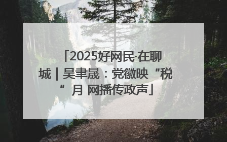 2025好网民·在聊城｜吴聿晟：党徽映“税”月 网播传政声