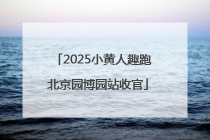2025小黄人趣跑北京园博园站收官