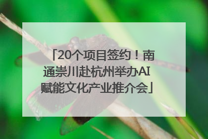 20个项目签约！南通崇川赴杭州举办AI赋能文化产业推介会