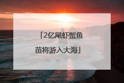 2亿尾虾蟹鱼苗将游入大海