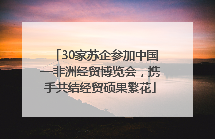 30家苏企参加中国—非洲经贸博览会，携手共结经贸硕果繁花