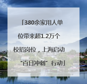 380余家用人单位带来超1.2万个校招岗位，上海启动“百日冲刺”行动
